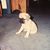 Elizabeth Moore Stonnell's profile image