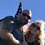 Jim O'neal's profile image