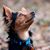 Stephanie Thompsen's profile image