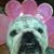 Angie Broome Williams's profile image