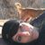 Lydian Miller's profile image