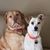 Donna Marie's profile image