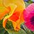Rita Gienapp's profile image