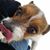 Jes Ormsby's profile image