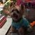 Teresa Hester Crumpton's profile image