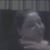 Carrie Livermore's profile image