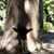 Jodi Cook's profile image