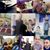 Fatin Salameh's profile image