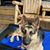 Monica Nelson Harris's profile image