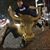 Nick Garofalo's profile image
