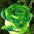Tammie McGee's profile image