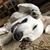 Troy Givens's profile image