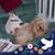 MaryAnne Taylor's profile image