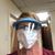 Kathy Keck Barrena's profile image