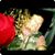 Lacey Amor Lopes's profile image