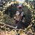 Debbie Keller Johnson's profile image