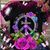 Renee Cobin's profile image