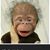 Krista Westfall's profile image