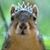 Judy Elam Guenther's profile image