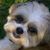 Bix Beiderbecke's profile image