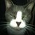 William Mayberry's profile image