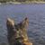 Bailey Gallivan's profile image