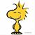 Rhonda Coyote's profile image