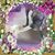 Jill Degeorge-English's profile image