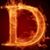 Dev Raize's profile image
