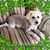Lily Corbett's profile image