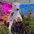 Dawn Cioto Bradley's profile image