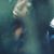 YB Finnezt's profile image