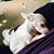 Christine Girouard's profile image