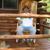 Randy Taylor's profile image