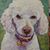 Crystal Blaker's profile image