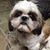 Linda Carnall Artigliere's profile image