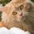 Kongkham Vongdara's profile image