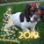 Mechelle Sabesky-Stewart's profile image