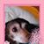 Joanne Rabalais's profile image