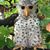 Michelle Scacciaferro-Secchiaroli's profile image