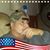 Oscar Segueda's profile image
