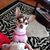 Nicole Dickens Singletary's profile image