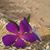 Tracy Vickery Matthews's profile image