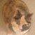 Rob Cermak's profile image