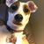 Lisa Lathan Jolley's profile image