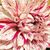 Heather Purcell's profile image