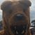 Denise Marie's profile image