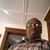 Bobby Pully's profile image