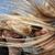 Nancy Herbst's profile image