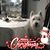 MaryAnn Foggin-Salvatore's profile image